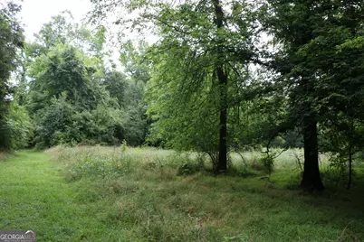 833 Neal Gap Road, Summerville, GA 30747 - Photo 29