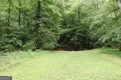 833 Neal Gap Road, Summerville, GA 30747 - Photo 35