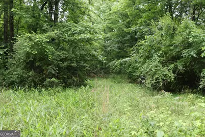 833 Neal Gap Road, Summerville, GA 30747 - Photo 19