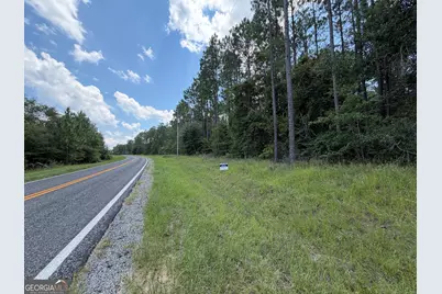 6965 Jim Pruett Road, Eastman, GA 31023 - Photo 3