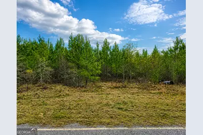 6965 Jim Pruett Road, Eastman, GA 31023 - Photo 5
