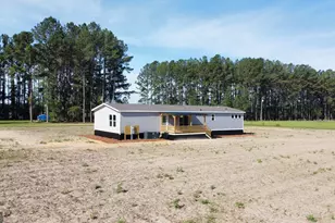 240 Bear Island Rd, Screven, GA 31560 - Photo 29