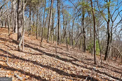 Lot 59 Mountain Sweet Drive, Clarkesville, GA 30523 - Photo 9