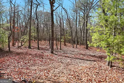 Lot 59 Mountain Sweet Drive, Clarkesville, GA 30523 - Photo 5