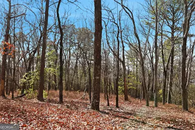 Lot 59 Mountain Sweet Drive, Clarkesville, GA 30523 - Photo 13