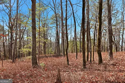 Lot 58 Mountain Sweet Drive, Clarkesville, GA 30523 - Photo 13