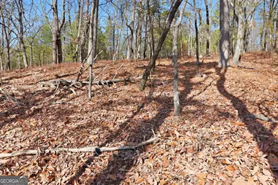 Lot 58 Mountain Sweet Drive, Clarkesville, GA 30523 - Photo 9