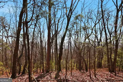 Lot 58 Mountain Sweet Drive, Clarkesville, GA 30523 - Photo 11