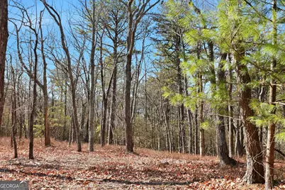Lot 58 Mountain Sweet Drive, Clarkesville, GA 30523 - Photo 15