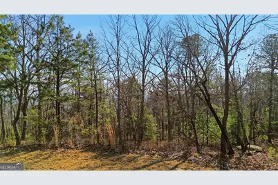 Lot 58 Mountain Sweet Drive, Clarkesville, GA 30523 - Photo 5