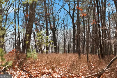 Lot 58 Mountain Sweet Drive, Clarkesville, GA 30523 - Photo 7