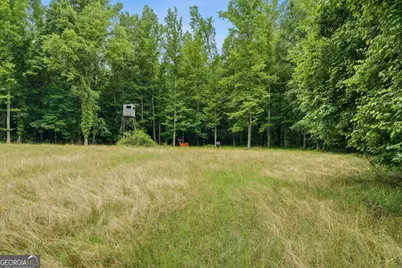 0 Pear Orchard Road, Greensboro, GA 30642 - Photo 21