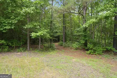 0 Pear Orchard Road, Greensboro, GA 30642 - Photo 19
