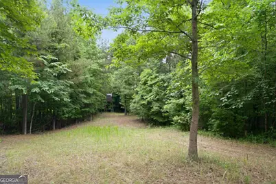 0 Pear Orchard Road, Greensboro, GA 30642 - Photo 11