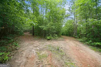 0 Pear Orchard Road, Greensboro, GA 30642 - Photo 9
