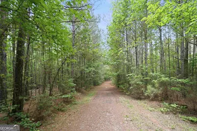 0 Pear Orchard Road, Greensboro, GA 30642 - Photo 13