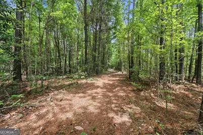 0 Pear Orchard Road, Greensboro, GA 30642 - Photo 3