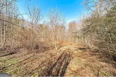 170 Mackey Road, McDonough, GA 30252 - Photo 11