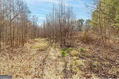 170 Mackey Road, McDonough, GA 30252 - Photo 13