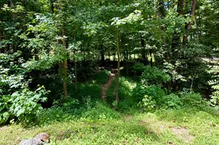 311 Woodland Brook Dr, Canton, GA 30115 - Photo 67