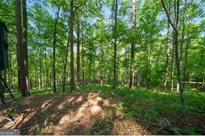 311 Woodland Brook Drive, Canton, GA 30115 - Photo 63
