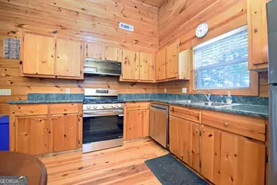 175 Bell Road, Mineral Bluff, GA 30559 - Photo 13