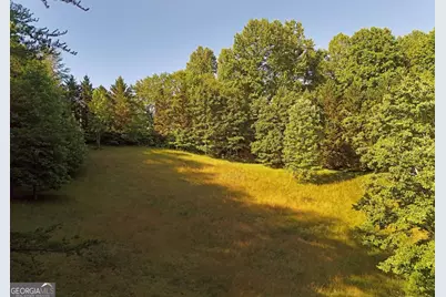 175 Bell Road, Mineral Bluff, GA 30559 - Photo 37