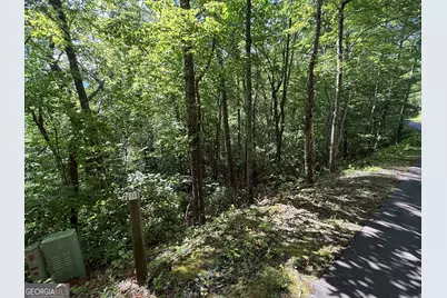 Lot 33 Fodder Creek Mill Drive, Hiawassee, GA 30546 - Photo 7