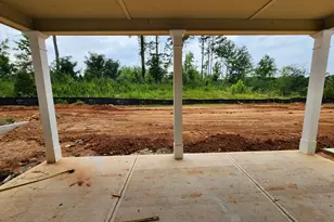 52 Umber Ln, Newnan, GA 30263 - Photo 3