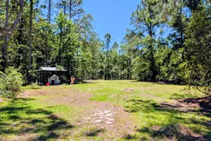 1085 Conaway McDonald Rd, Tarrytown, GA 30470 - Photo 5