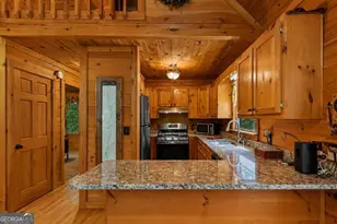 801 Davenport Mountain Road, Blue Ridge, GA 30513 - Photo 7
