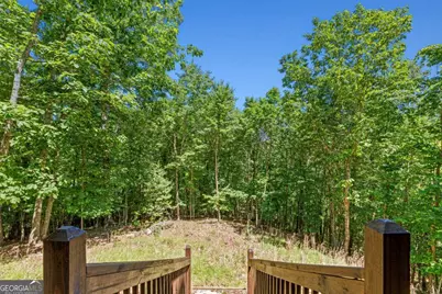 801 Davenport Mountain Road, Blue Ridge, GA 30513 - Photo 25