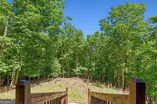 801 Davenport Mountain Road, Blue Ridge, GA 30513 - Photo 25