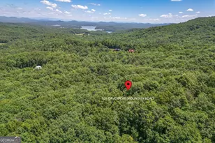 801 Davenport Mountain Road, Blue Ridge, GA 30513 - Photo 31