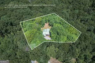 801 Davenport Mountain Road, Blue Ridge, GA 30513 - Photo 33