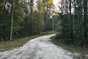 216 Skye Vw Dr, Statesboro, GA 30458 - Photo 33