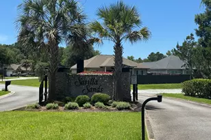 1038 Sand Dollar Way, Brunswick, GA 31523 - Photo 45