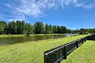 1038 Sand Dollar Way, Brunswick, GA 31523 - Photo 29