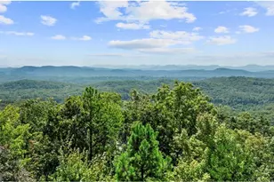 279 Rising Star Ln, Mineral Bluff, GA 30559 - Photo 7