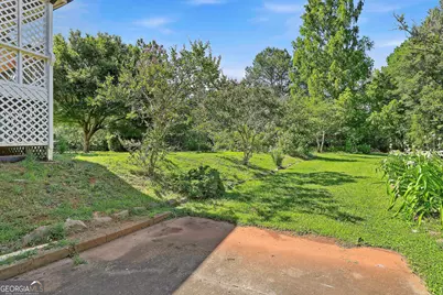239 Ebenezer Church Rd, Fayetteville, GA 30215 - Photo 49