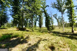 0 Walters Rd, Barnesville, GA 30204 - Photo 21