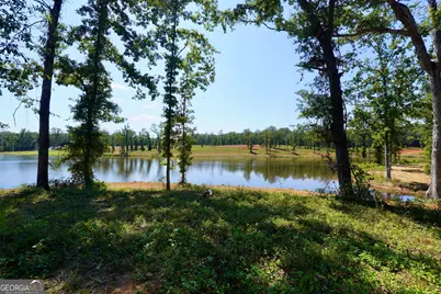 0 Walters Road, Barnesville, GA 30204 - Photo 19