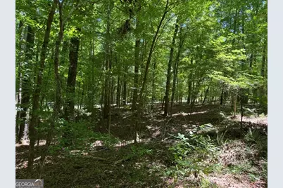 541 S Steel Bridge Road, Eatonton, GA 31024 - Photo 3