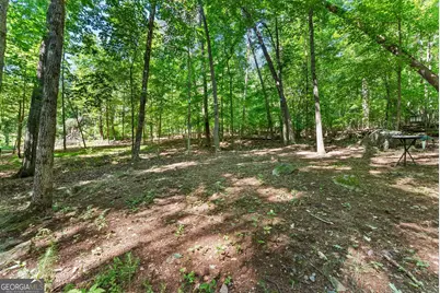 294 Cedar Hollow Road, Cleveland, GA 30528 - Photo 59