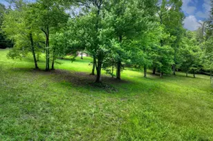 94 Old Pl Dr, Blue Ridge, GA 30513 - Photo 57
