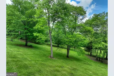 94 Old Place Drive, Blue Ridge, GA 30513 - Photo 47