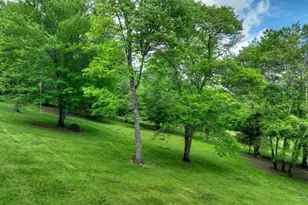 94 Old Pl Dr, Blue Ridge, GA 30513 - Photo 47