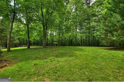 94 Old Place Drive, Blue Ridge, GA 30513 - Photo 49