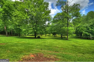 94 Old Place Drive, Blue Ridge, GA 30513 - Photo 63