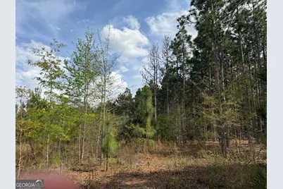 09 Barge Rd, Lumpkin, GA 31815 - Photo 7